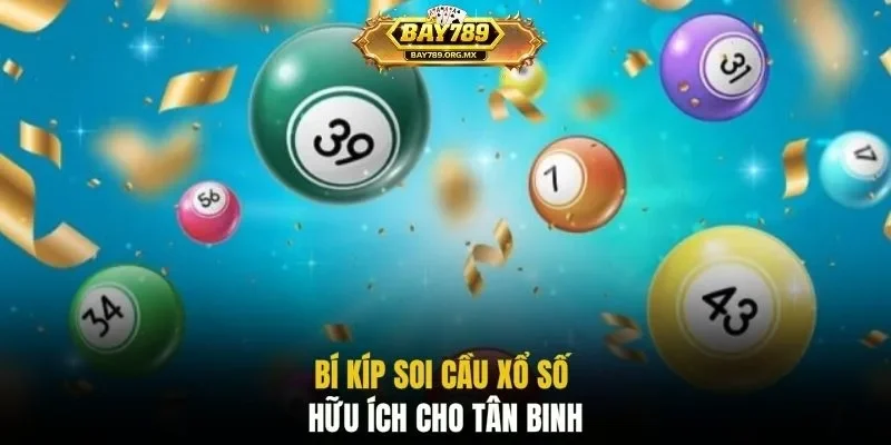 Bí kíp soi cầu xổ số hữu ích cho tân binh